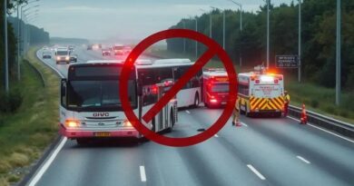 Acidente trágico com micro-ônibus em Goiás deixa cinco mortos