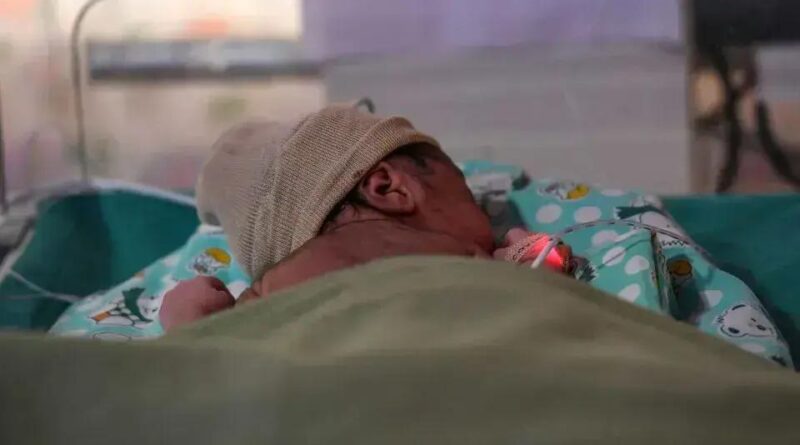 Bebê é Resgatado Abandonado com Pedra e Cola em Rajasthan