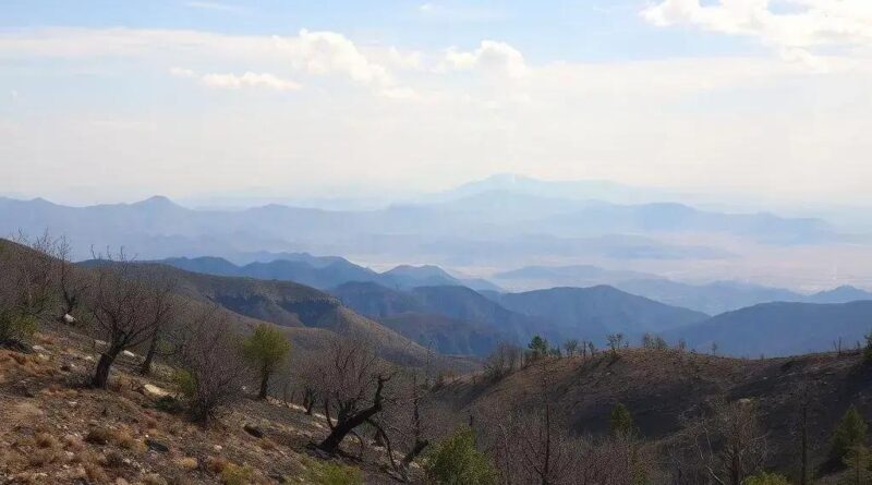 Bombeiros Controlam Incêndio na Serra do Cruzeiro e Monitoram Focos
