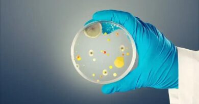 Candida auris: O vírus mortal que preocupa a Europa e o mundo