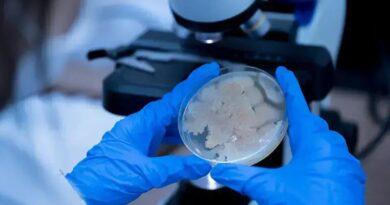 Cientistas encontram bactérias vivas de 130 anos em porão na Dinamarca