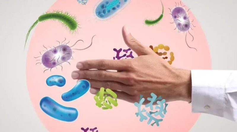 Como diferenciar vírus, bactérias e fungos para uma saúde melhor