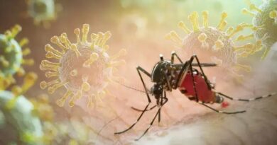 Vírus da Chikungunya e a Saúde de Crianças e Adolescentes