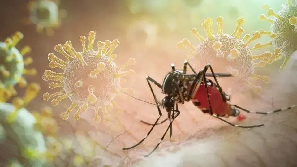 Vírus da Chikungunya e a Saúde de Crianças e Adolescentes