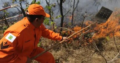 Área Queimada na Amazônia em 2024 Supera Extensão da Bélgica