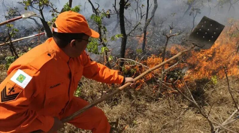 Área Queimada na Amazônia em 2024 Supera Extensão da Bélgica