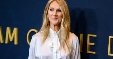 Céline Dion faz aparição emocionante ao lado dos filhos no espetáculo de McCartney