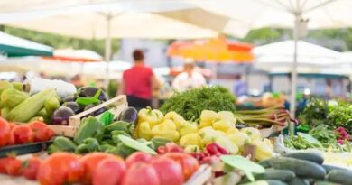 Descubra como os alimentos funcionais podem transformar sua saúde