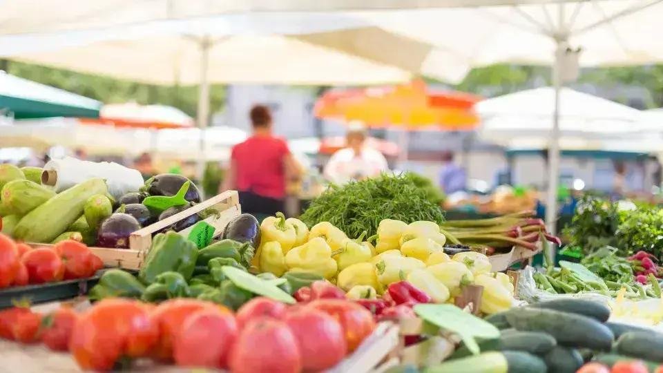 Descubra como os alimentos funcionais podem transformar sua saúde