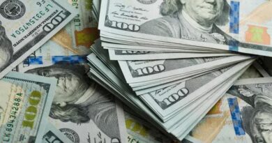 Dólar sobe levemente enquanto Ibovespa cai em dia de paralisação nos EUA