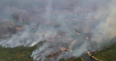 Frequência de Incêndios Florestais Aumenta Globalmente em Uma Década
