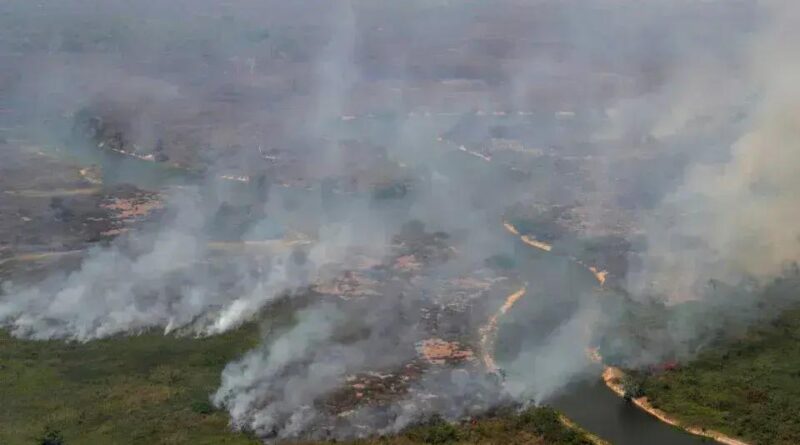 Frequência de Incêndios Florestais Aumenta Globalmente em Uma Década