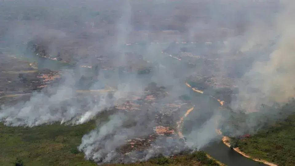 Frequência de Incêndios Florestais Aumenta Globalmente em Uma Década