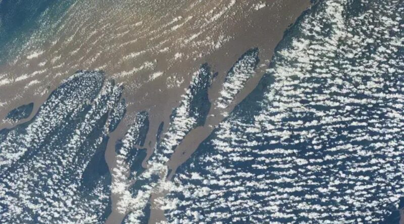 Maioria dos brasileiros apoia proibição de petróleo na Foz do Amazonas