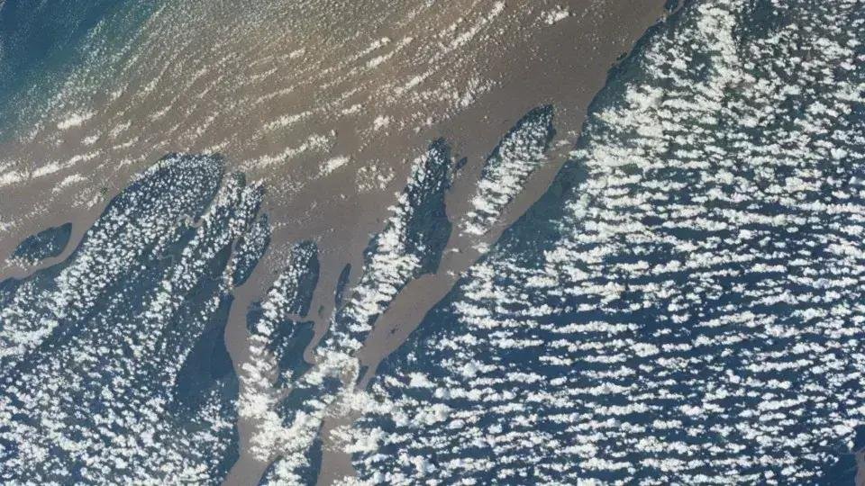 Maioria dos brasileiros apoia proibição de petróleo na Foz do Amazonas