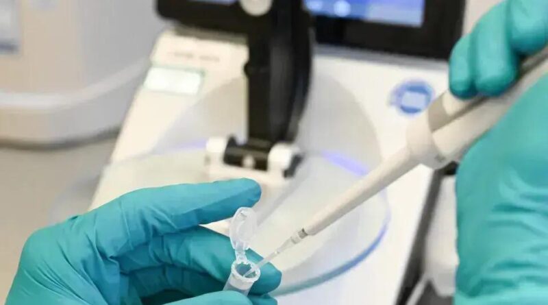 Pesquisadores criam óvulos com DNA da pele para ajudar na infertilidade