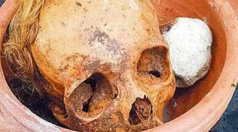 Polícia descobre crânios e ossos humanos em apartamento em SP