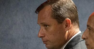 Cid chega ao STF para audiência sobre cumprimento de pena de dois anos