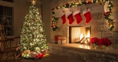 Descubra a Fascinante História da Árvore de Natal no Brasil