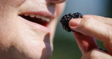 Descubra o que é o detox de metais pesados e sua importância