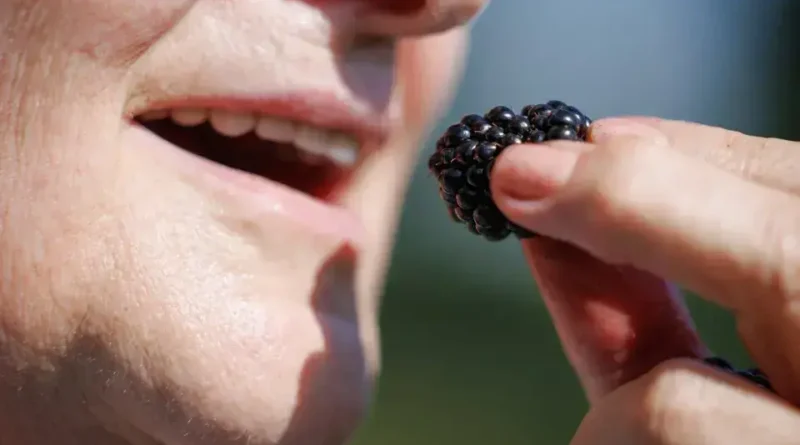 Descubra o que é o detox de metais pesados e sua importância