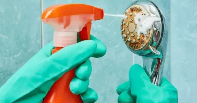 Descubra os Usos Surpreendentes da Cerveja Além do Consumo