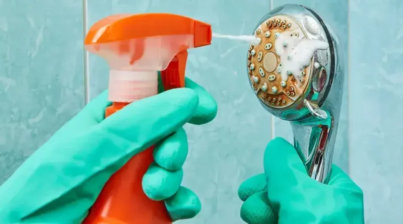 Descubra os Usos Surpreendentes da Cerveja Além do Consumo