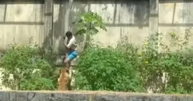 Homem morre ao invadir espaço de leoa em parque de João Pessoa