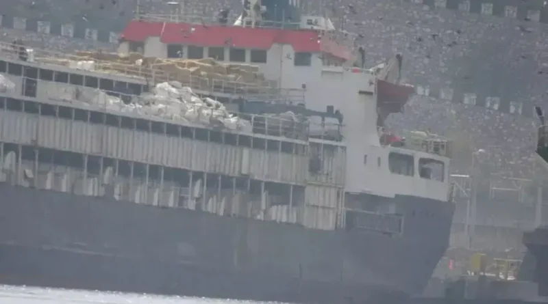 Navio com 3 mil vacas enfrenta crise global e volta ao Uruguai