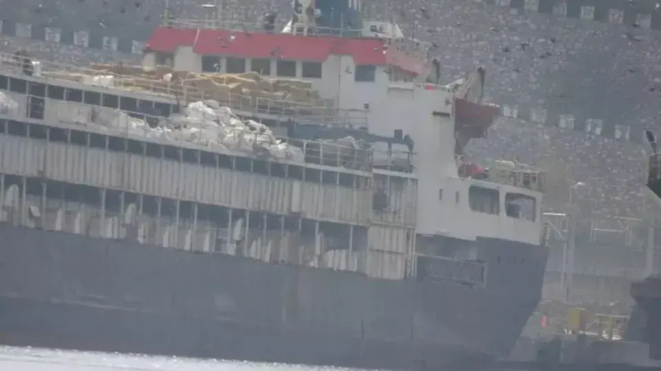 Navio com 3 mil vacas enfrenta crise global e volta ao Uruguai