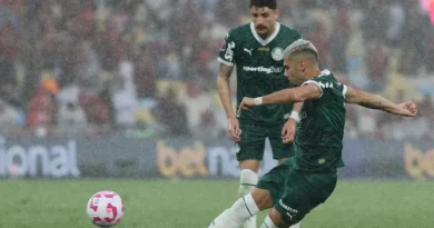 Palmeiras busca repetir início vitorioso para conquistar título brasileiro