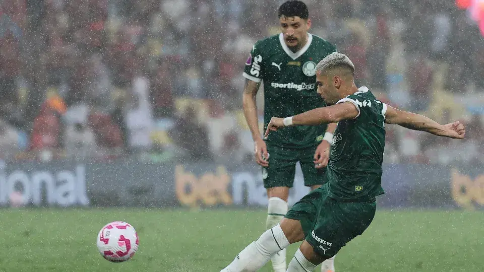 Palmeiras busca repetir início vitorioso para conquistar título brasileiro