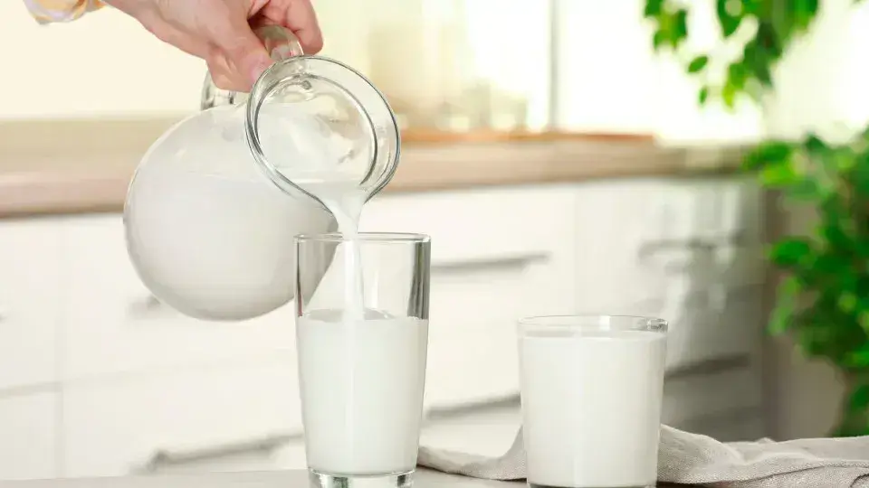 Sete alimentos seguros para consumo após a data de validade