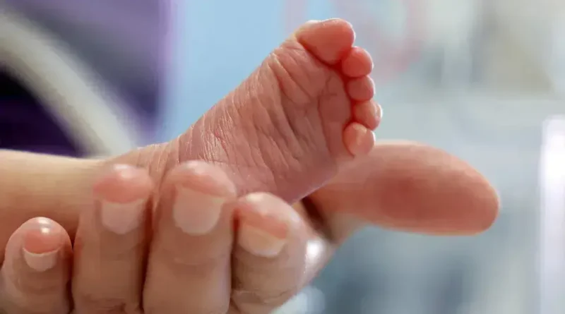 Vacina contra bronquiolite será oferecida a gestantes a partir de dezembro