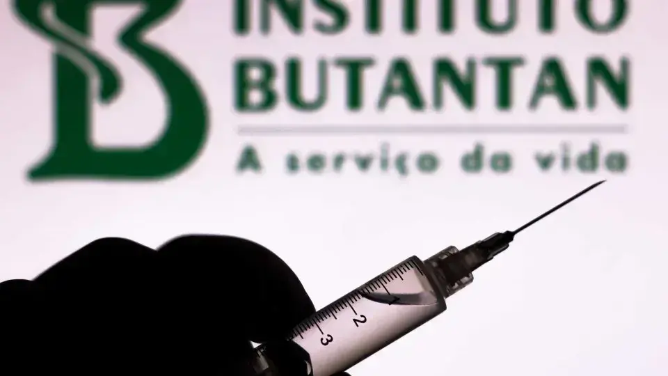 Butantan desenvolve nova vacina antirrábica com tecnologia de RNA mensageiro