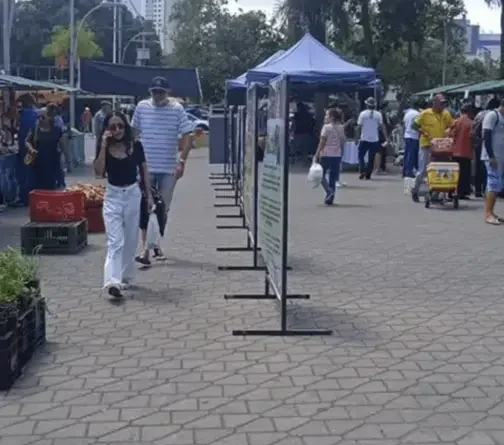 Campina Grande recebe a feira agroecológica ‘Natal sem Veneno’