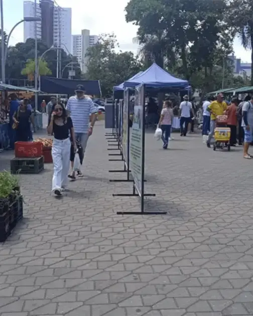 Campina Grande recebe a feira agroecológica ‘Natal sem Veneno’