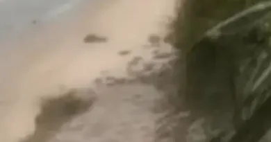 Casal flagrado fazendo ato libidinoso na praia do Seixas