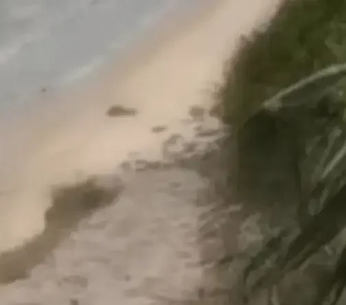 Casal flagrado fazendo ato libidinoso na praia do Seixas