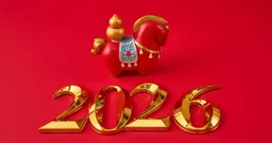 Como o Ano do Cavalo de Fogo Transformará Seu Signo em 2026