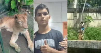 Morte de jovem após ataque de leoa em zoológico: uma tragédia