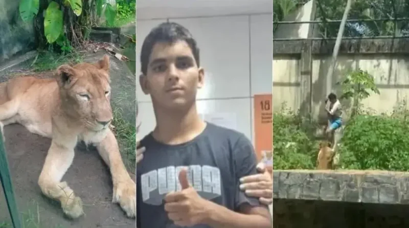 Morte de jovem após ataque de leoa em zoológico: uma tragédia