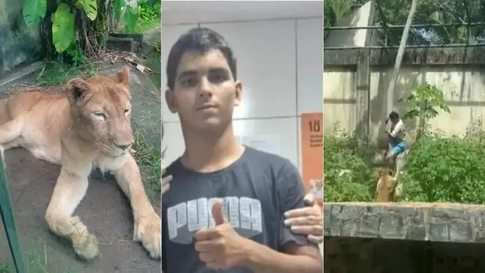 Morte de jovem após ataque de leoa em zoológico: uma tragédia