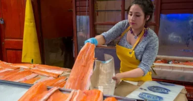 Alimentos que ajudam a combater refluxo e azia de forma eficaz