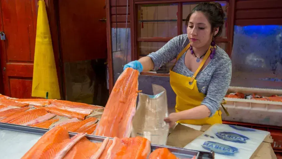 Alimentos que ajudam a combater refluxo e azia de forma eficaz