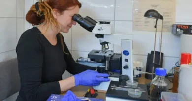 Cientistas Rejuvenessem Camundongos ao Restaurar Células Velhas