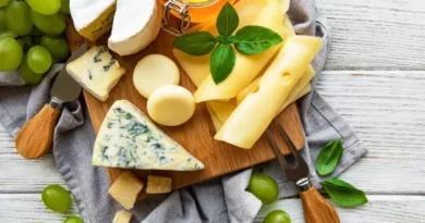 Descubra o queijo ideal para emagrecer com moderação e sabor