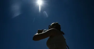 Foliões buscam sombra em área arborizada do Rio durante o Carnaval