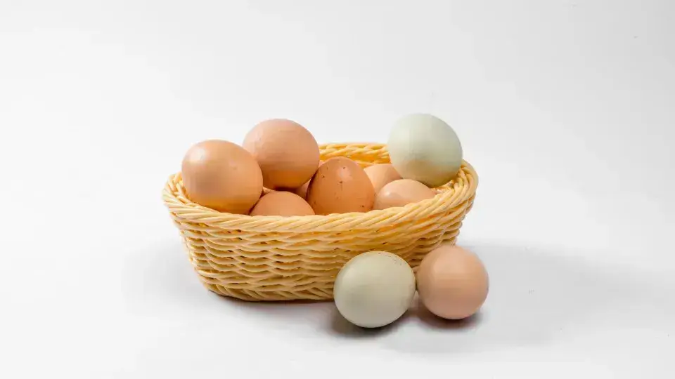 Os ovos e sua validade: Como saber se ainda estão bons para consumo