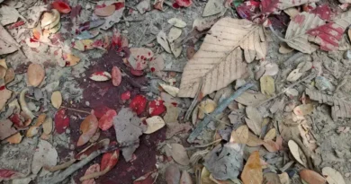 Pai e Filho Mortos em Agressão Durante Carnaval em Aracruz